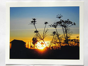 Gardening Club AGM 18-4-11