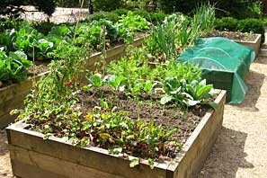 Doctor Leadley's Garden