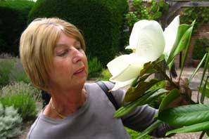 Doctor Leadley's Garden