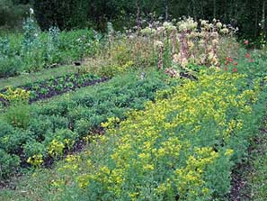 Weleda visit - July 2011