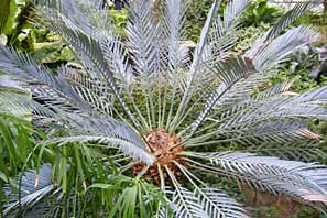 Woodthorpe Grange 2010