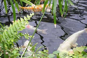 Woodthorpe Grange 2010