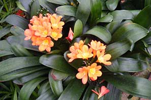 Woodthorpe Grange 2010