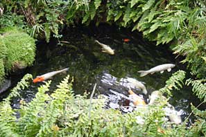 Woodthorpe Grange 2010