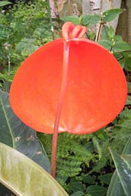 Woodthorpe Grange 2010