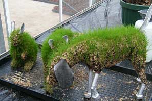 Woodthorpe Grange 2010