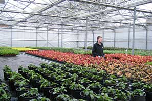 Woodthorpe Grange 2010