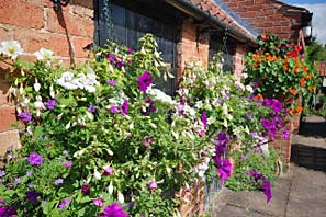 Open Gardens 19-7-10