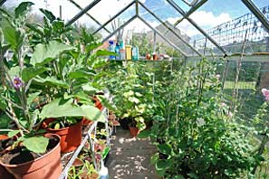 Open Gardens 19-7-10