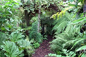 Open Gardens 19-7-10