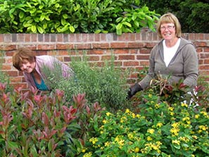 Pifold being tidied by Gadening Club