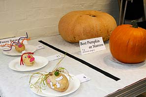 Horticultural Show