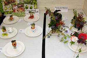 Horticultural Show