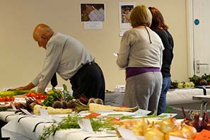 Horticultural Show