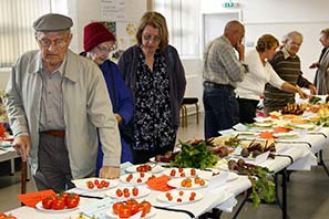 Horticultural Show