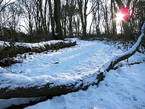 Winter Sun below zero 11-2-12