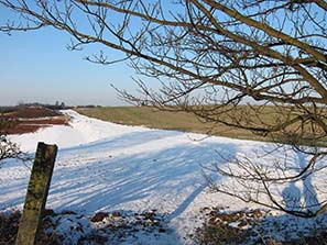 Winter Sun below zero 11-2-12