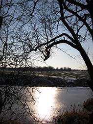 Winter Sun below zero 11-2-12