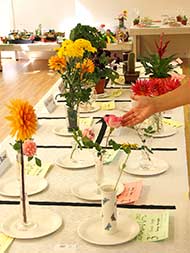 Horticultural Show