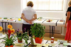 Horticultural Show