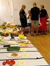 Horticultural Show