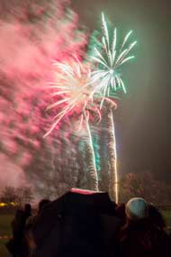Firework Night
