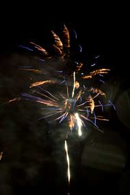Firework Night