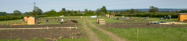 Allotment 21-5-10