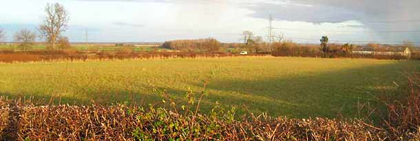 Allotment Field