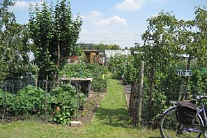 Beeston allotment