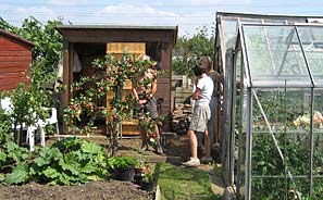 Beeston allotment