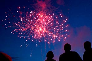 Picnic in the Park 2010