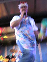 Picnicnin the Park 2011