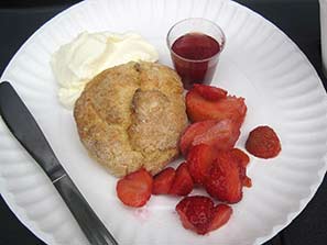 Sunday Teddy Parachute Jump