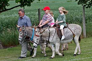 donkey rides