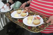 Two cream teas please