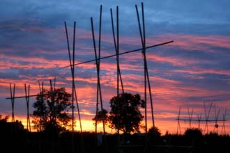 Allotment view on evening of 2-7-10