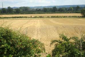 Views around Cropwell September 2010