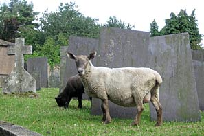 Views around Cropwell September 2010