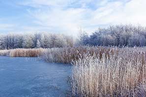 Snow and Frost in December 2011