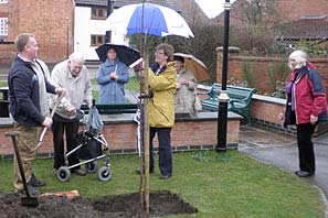 Tree Planting for Val Bellamy