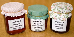 Preserves by Barbara Pugh