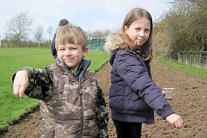 Wild Flower Planting