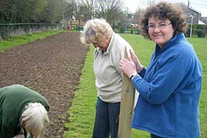 Wild Flower Planting