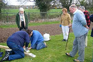 Wild Flower Planting