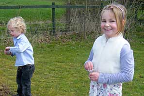 Wild Flower Planting