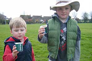 Wild Flower Planting