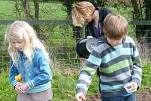 Wild Flower Planting