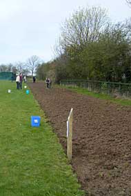 Wild Flower Planting
