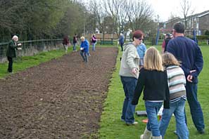 Wild Flower Planting
